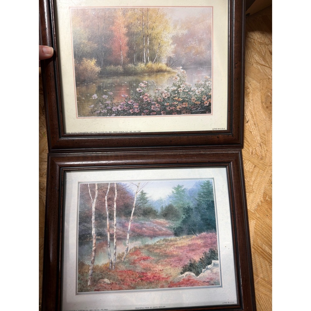 Vintage 1996 Landscape Prints Set of 2 Owen Wexler Peaceful View Framed Lithos